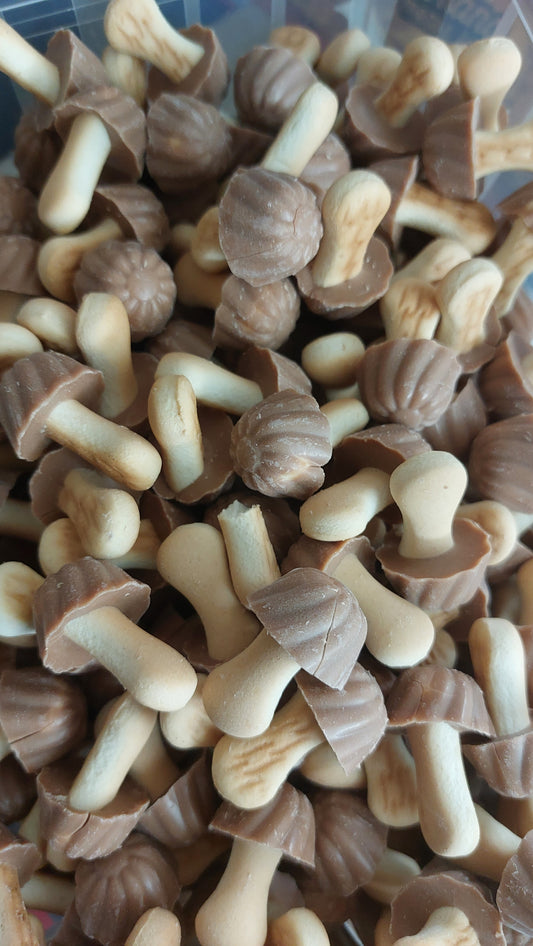 Champignon Chocolat caramel (lot de 10)